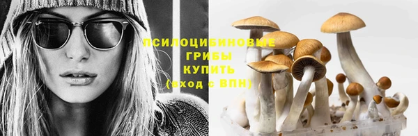 PSILOCYBIN Ельня
