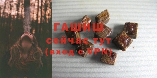 PSILOCYBIN Ельня
