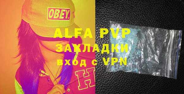 PSILOCYBIN Ельня