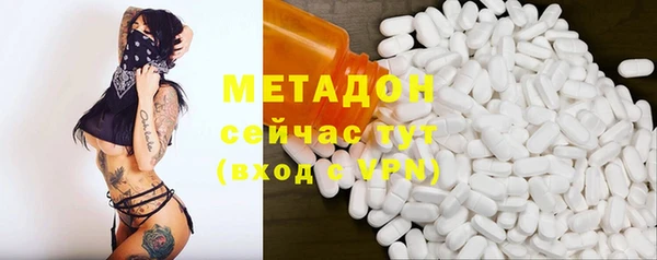 PSILOCYBIN Ельня