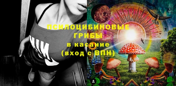 мескалин Елабуга