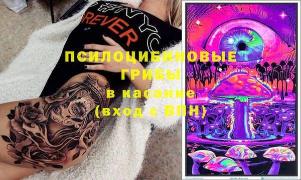 мескалин Елабуга