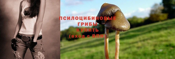 PSILOCYBIN Ельня
