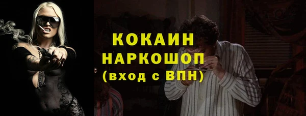 PSILOCYBIN Ельня