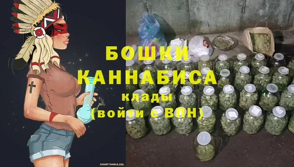 PSILOCYBIN Ельня