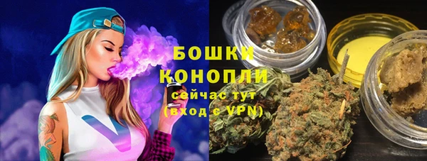 PSILOCYBIN Ельня