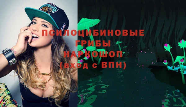 мескалин Елабуга