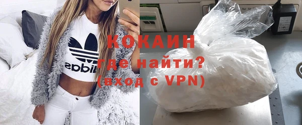 PSILOCYBIN Ельня