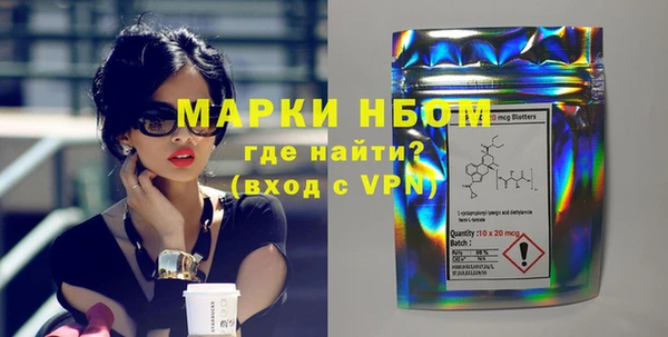 PSILOCYBIN Ельня