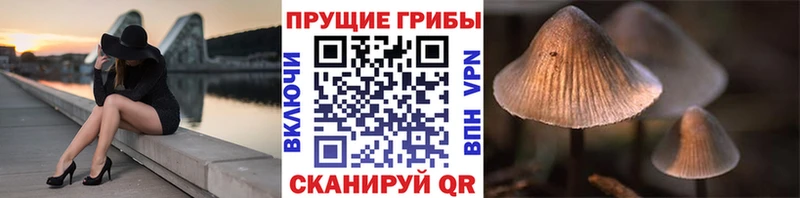 Галлюциногенные грибы мицелий  Купить  Прохладный 